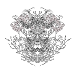 Illustrations