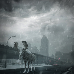 CGI Moose in Vancouver