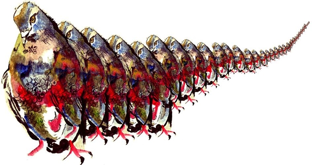 *