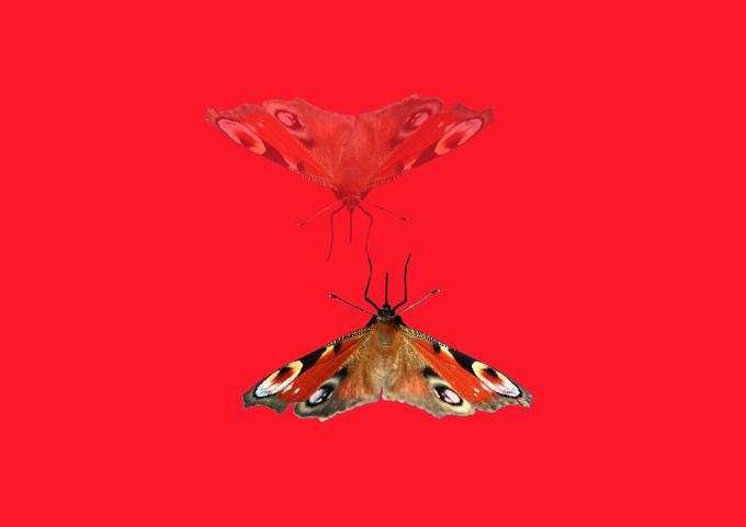 *