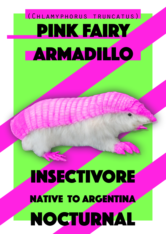 *