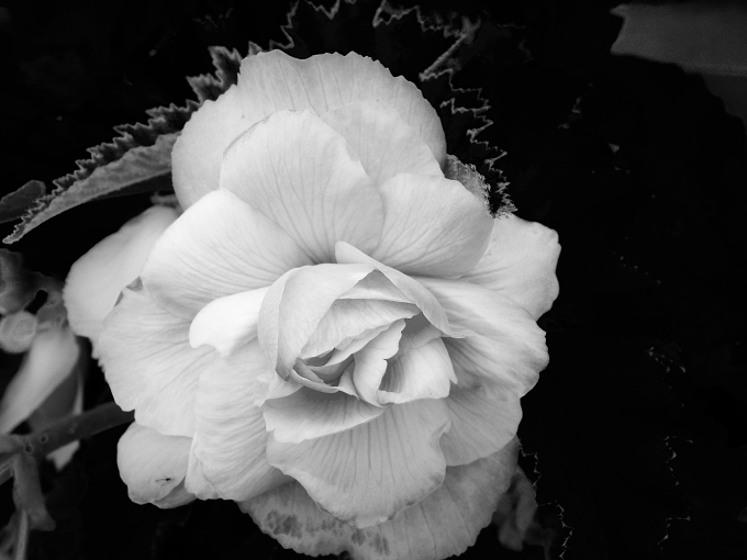 *