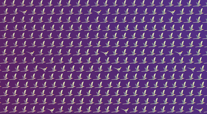*
