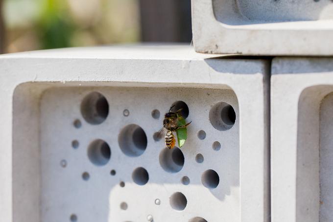 *