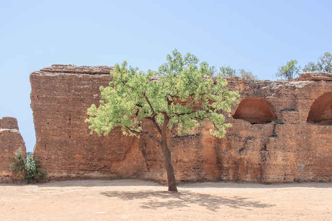 *