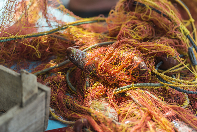 *