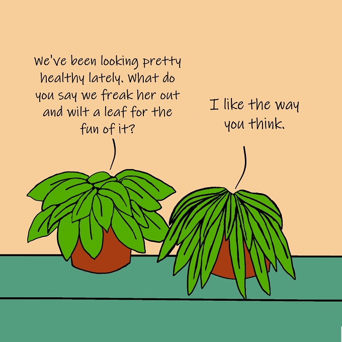 *