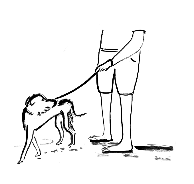 *