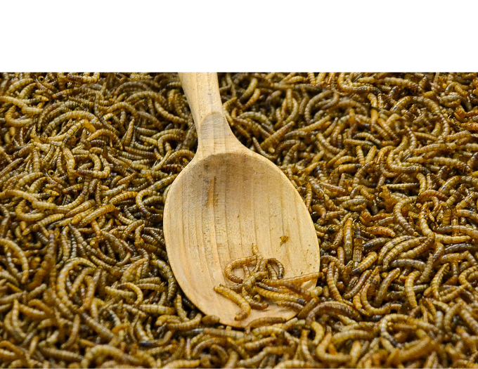 *