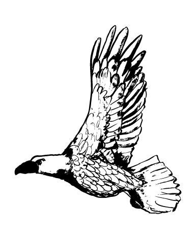 *