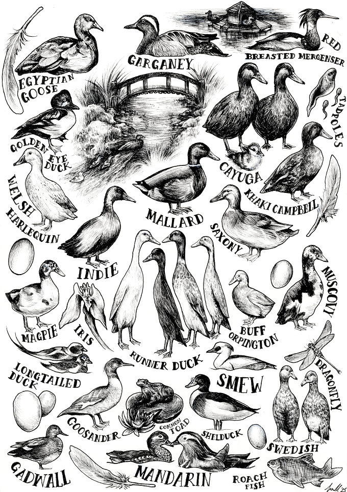 *
