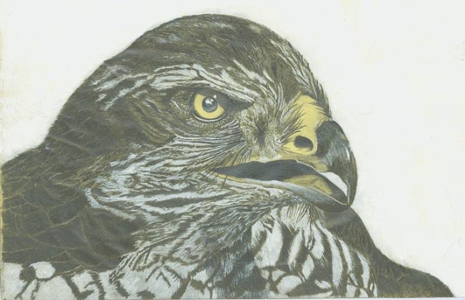 *