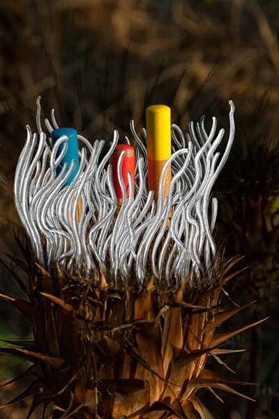 *