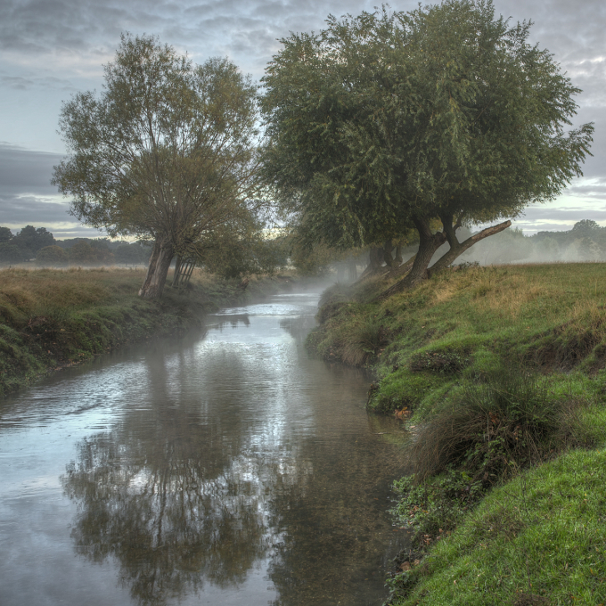 *