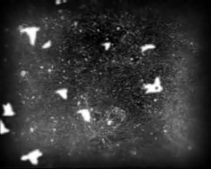 *