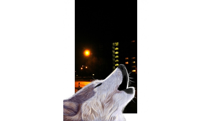 *