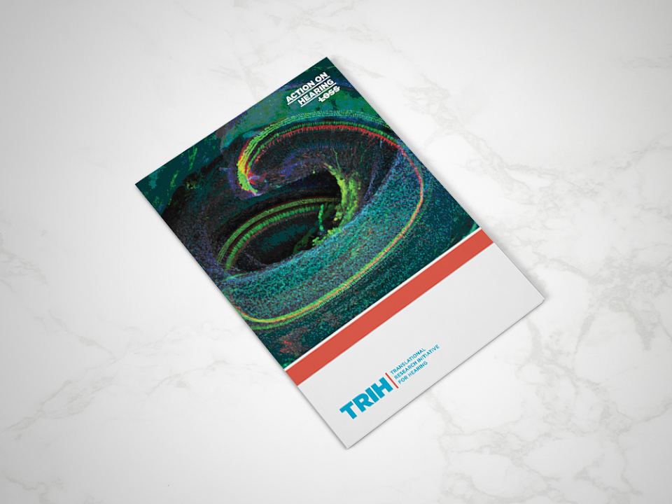 TRIH Promotional Booklet by Erin Thompson for TRIH