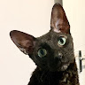 *
