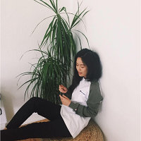 Truyen Le