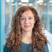 Maryam Najafian