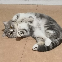 *