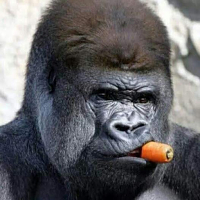 *