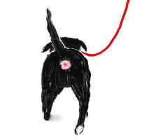 *