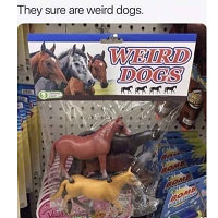 *