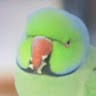 *