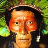 Pedro Wadt