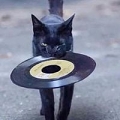 *