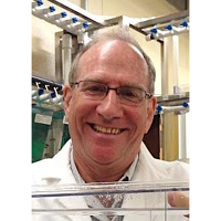 Mike Kent