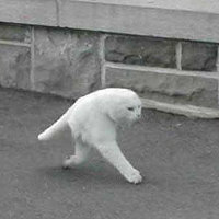 *