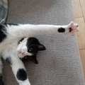 *