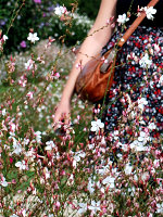 Justine Gigaud
