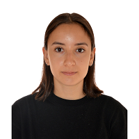 Yasemin Varlik