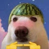 *