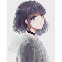 Ansa S