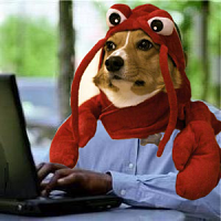 *
