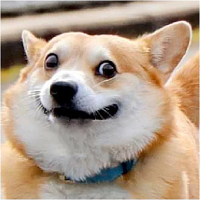 *