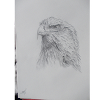 Art Thrus
