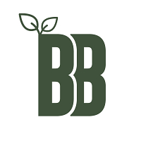BB Designs