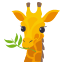 *