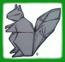Flat Squirrel