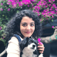Parisa Nabiyouni