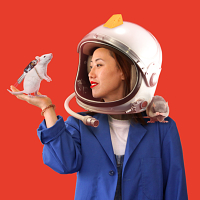 Hayli Chwang