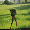 *