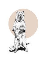 Whistling Bear Illustrations