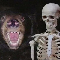 *