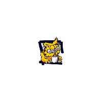 *